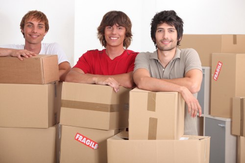 Emergency access and liability rules for storage units